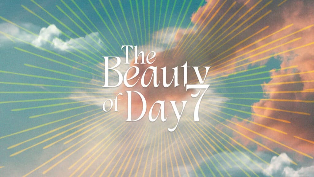The Beauty of Day 7 Series Artwork